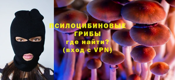 спиды Алзамай