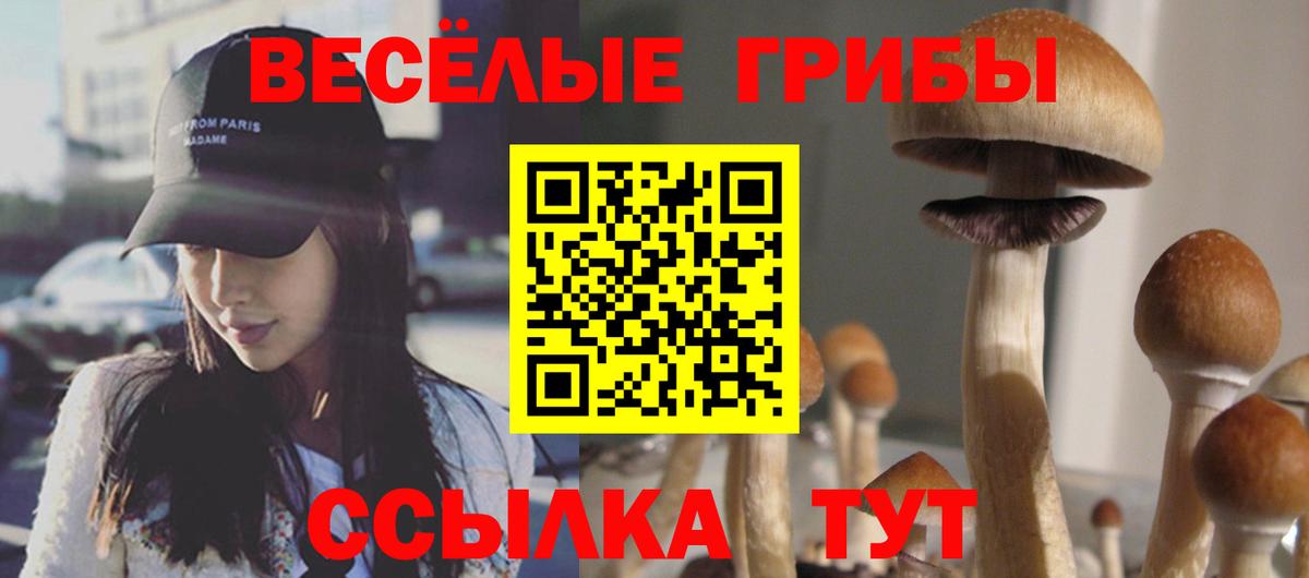 Псилоцибиновые грибы Cubensis Зеленодольск