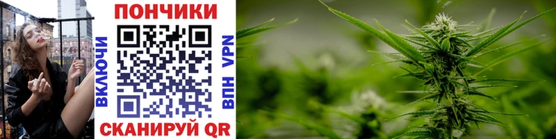 Канабис OG Kush Зеленодольск